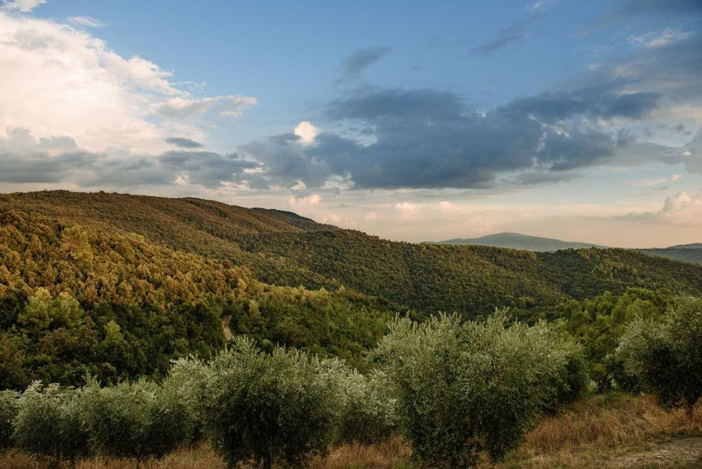 Tenuta Di Forte Sorgnano Гуальдо-Каттанео Экстерьер фото
