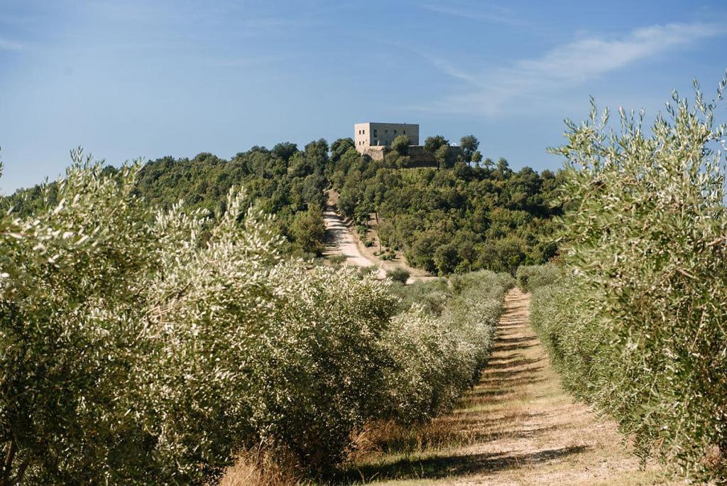 Tenuta Di Forte Sorgnano Гуальдо-Каттанео Экстерьер фото
